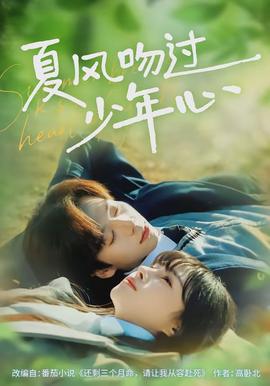 夏风吻过少年心